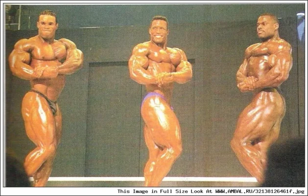 ترور عضلات سینه با شاون ری