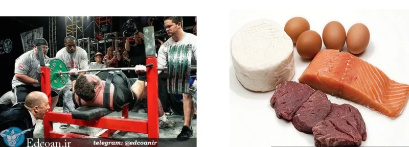 مکمل های مناسب برای قبل از تمرین