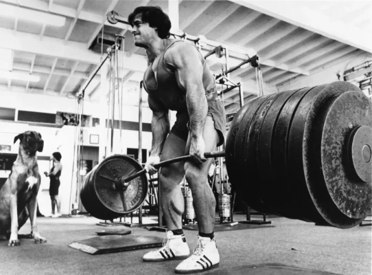 ددلیفت یکی از سازنده ترین حرکتها در پاور لیفتینگ و بدنسازی