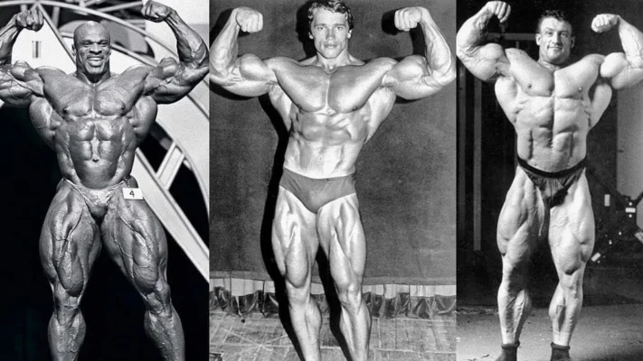 تئوري های مختلف در بدنسازی