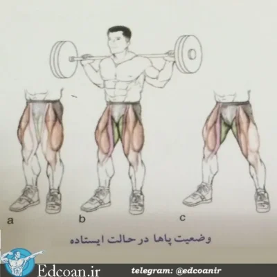 اجرای صحیح مسابقه حرکت اسکات