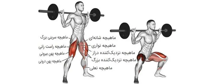 اسکات هالتر پا باز چیست؟