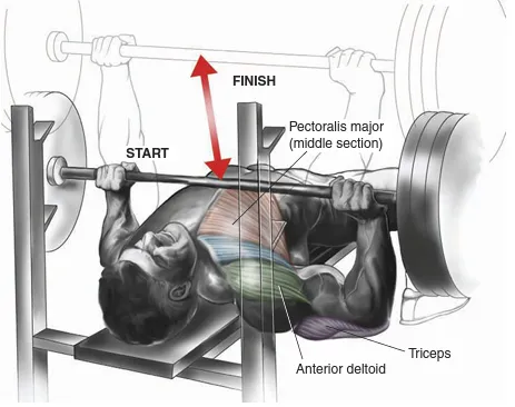 پرس سینه با هالتر