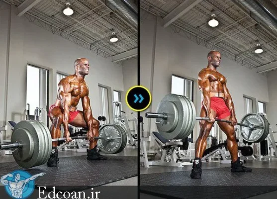 تمرین سومو ددلیفت برای مسابقه