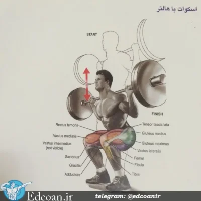 اجرای صحیح مسابقه حرکت اسکات