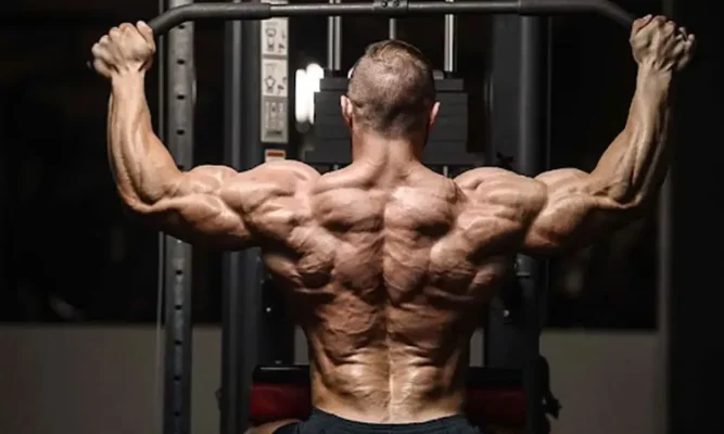 توپ بسکتبال و یا سرشانه