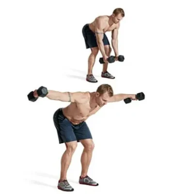 Bentover Reverse Fly