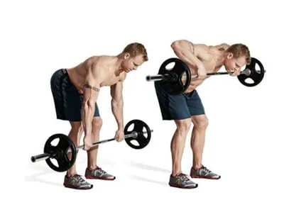 Bentover Row to Neck