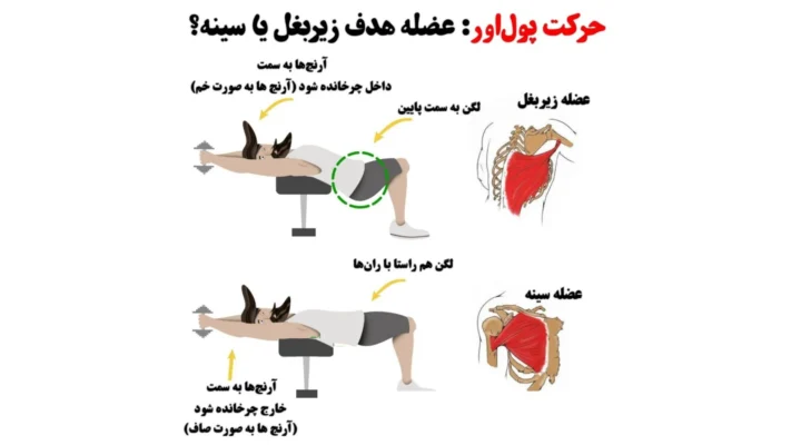پول اور دمبل