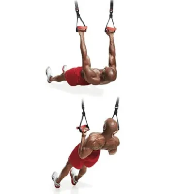 Rotational Inverted Row
