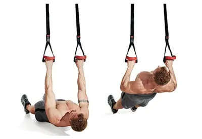 Suspension Trainer Inverted Row
