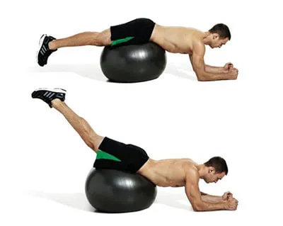 Swiss Ball Reverse Back Extension