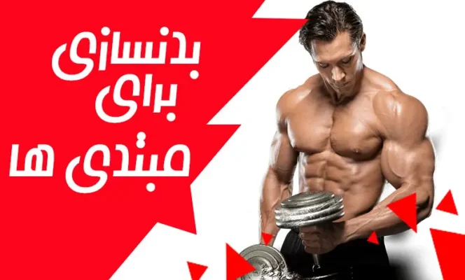 بهترین مطالب بدنسازی برای مبتدی ها