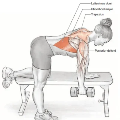 زیربغل دمبل تک خم