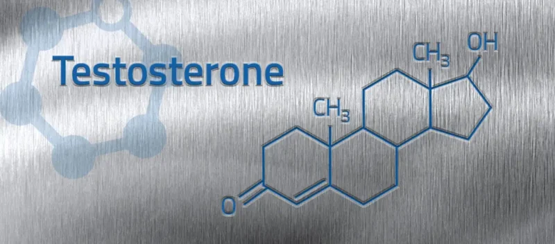بهترین دمنوش ها برای افزایش تستوسترون