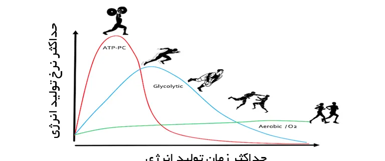 انرژی وسيستم های هوازی وغيرهوازی