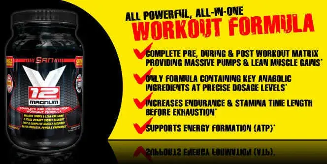 موتور وی ۱۲ مگنوم مخصوص بدنسازان سنگین وزن - V12 MAGNUM SAN