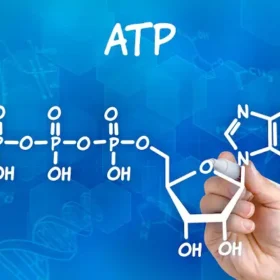 atp چیست ؟