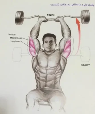 بهترین حرکات برای سر بیرونی و پائین پشت بازو