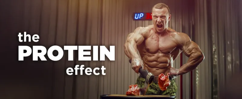 پروتئین مورد نیاز بدنسازان در دوره کات