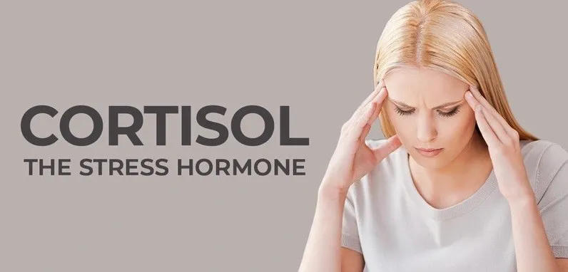 خدمت و خيانت هورمون كورتيزول