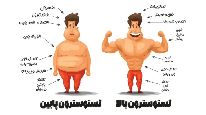 آزمایش هورمون تستوسترون چگونه انجام می‌شود؟