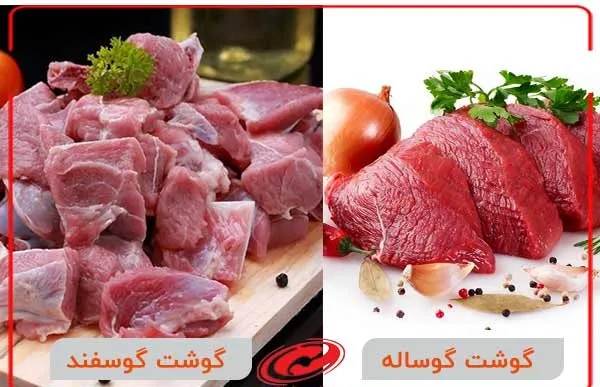 ارزش غذایی گوشت گوساله و گوسفند