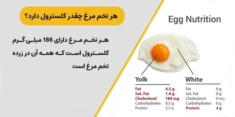 آیا مصرف تخم‌مرغ باعث افزایش کلسترول می‌شود؟