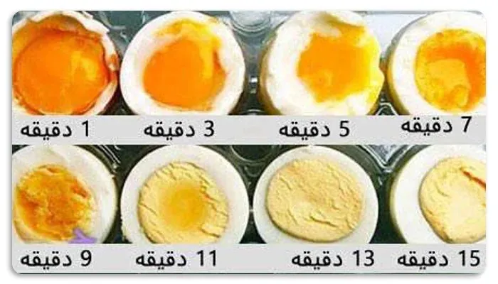 ۸ روش مدرن و متفاوت برای پخت تخم مرغ