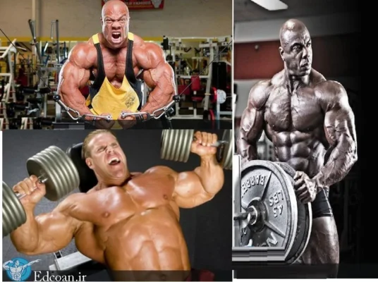 ۶ روش برای حجیمسازی عضلات سینه