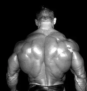 راهنمای تمرین بزرگترین عضله بالاتنه