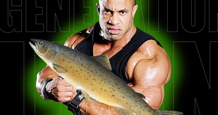 برای ریکاوری سریع از این ۵ غذا استفاده کنید