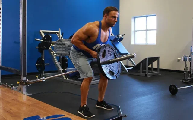 تیبار رو (T-Bar Row)