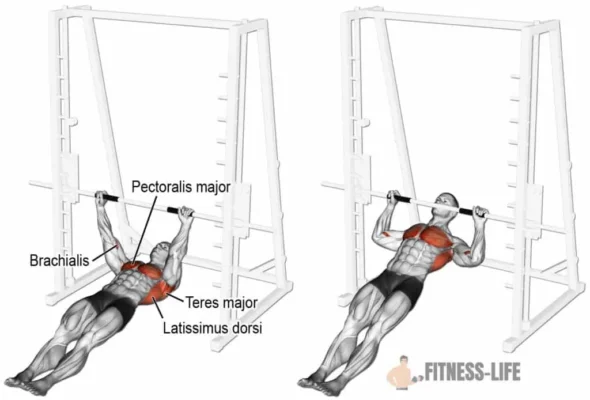 بارفیکس خوابیده