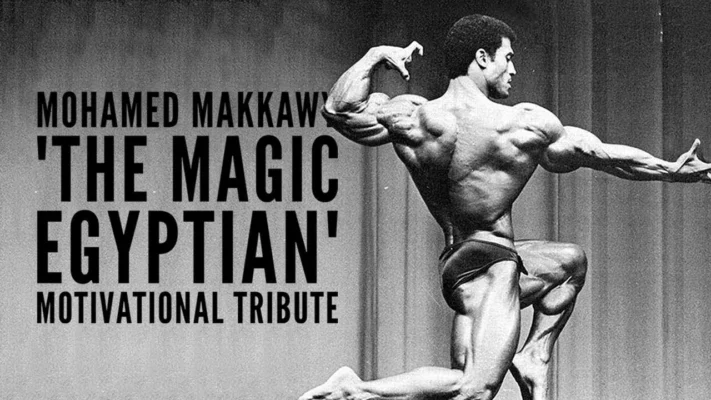 محمد المکاوی