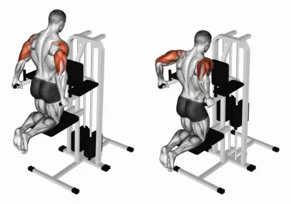 پارالل پشت بازو