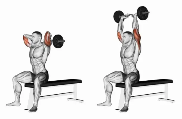 پشت‌بازو نشسته با میله خم (EZ)