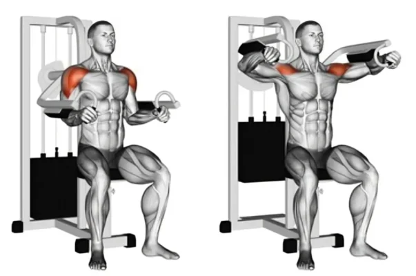 Lateral Raise Machine