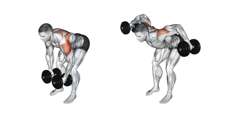 Seated Rear Lateral Raise