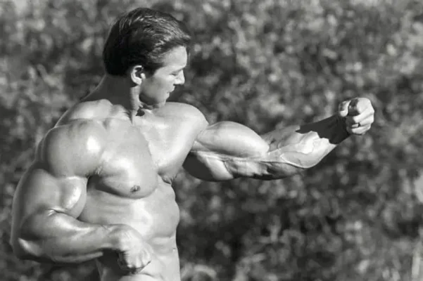 بهترین عضلات بالاسینه