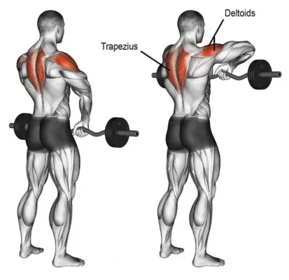 حرکت کول هالتر EZ