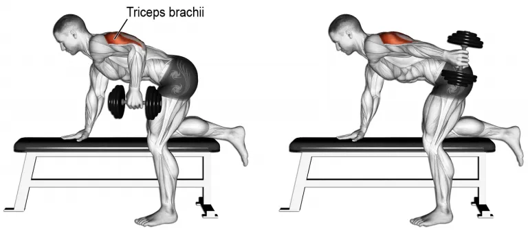 پشت بازو خم تک دمبل