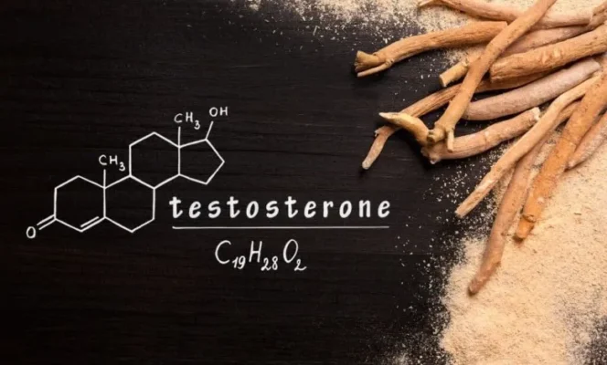 راهکارهای طبیعی برای افزایش سطح تستوسترون