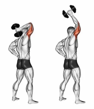 پشت بازو تک دست ایستاده