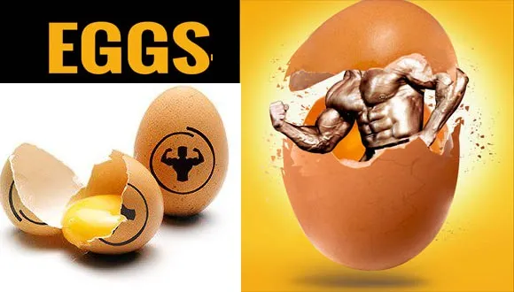 تغذیه هوشمند بعد تمرین