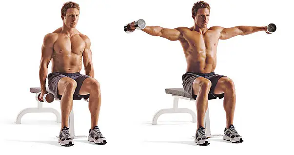 Dumbbell Lateral Raise