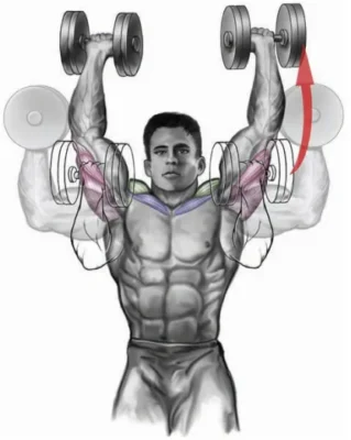 آموزش حرکت پرس سرشانه با دمبل