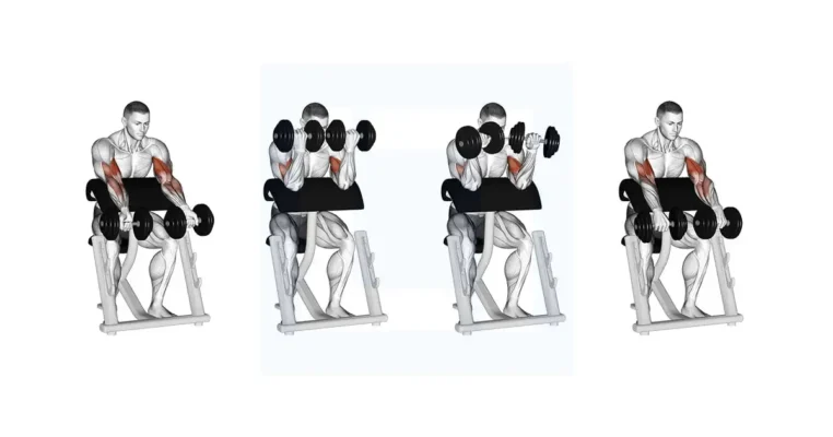 جلوبازولاری با دمبل