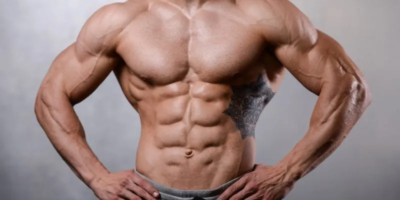 از دست دادن چربی‌ بدن بدون از دست دادن حجم عضلانی،هنر کات کردن!! بخش چهارم