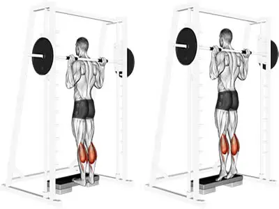 ساق پا با دستگاه اسمیت